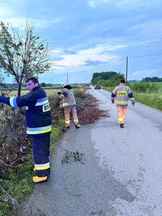 Drzewa i konary powalone w gm. Wola Mysłowska