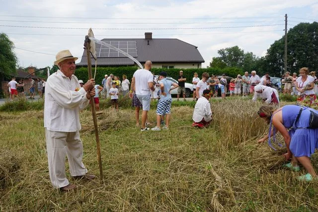 Żniwa w Bronicach