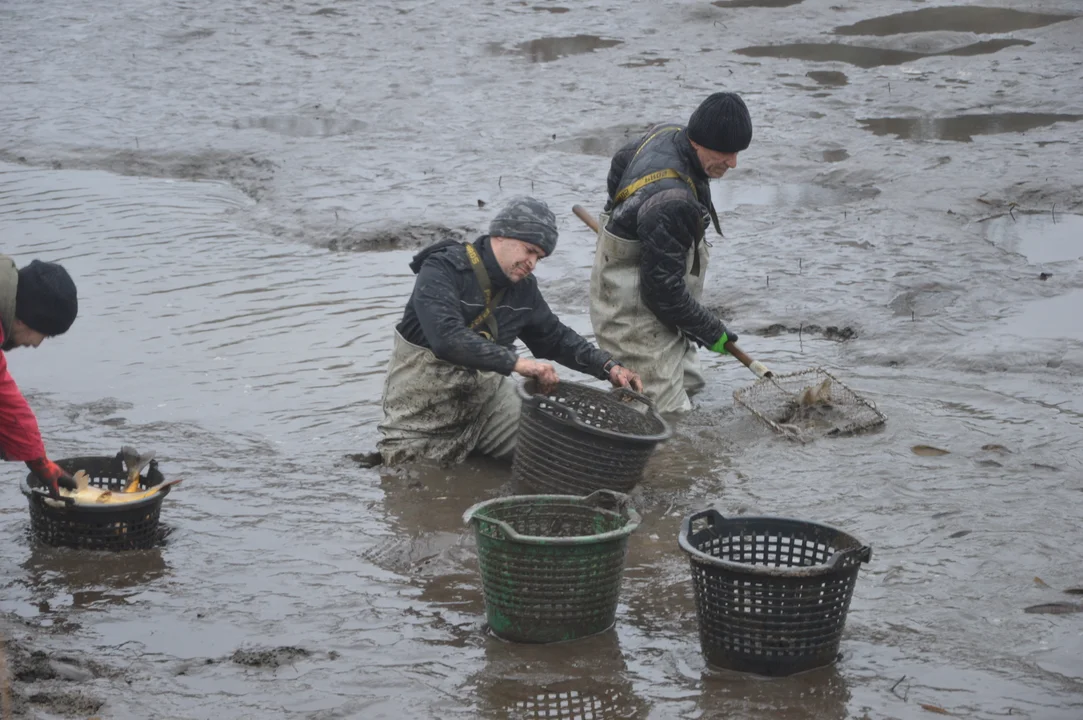 Gospodarstwo rybackie "Karp z Borowa"