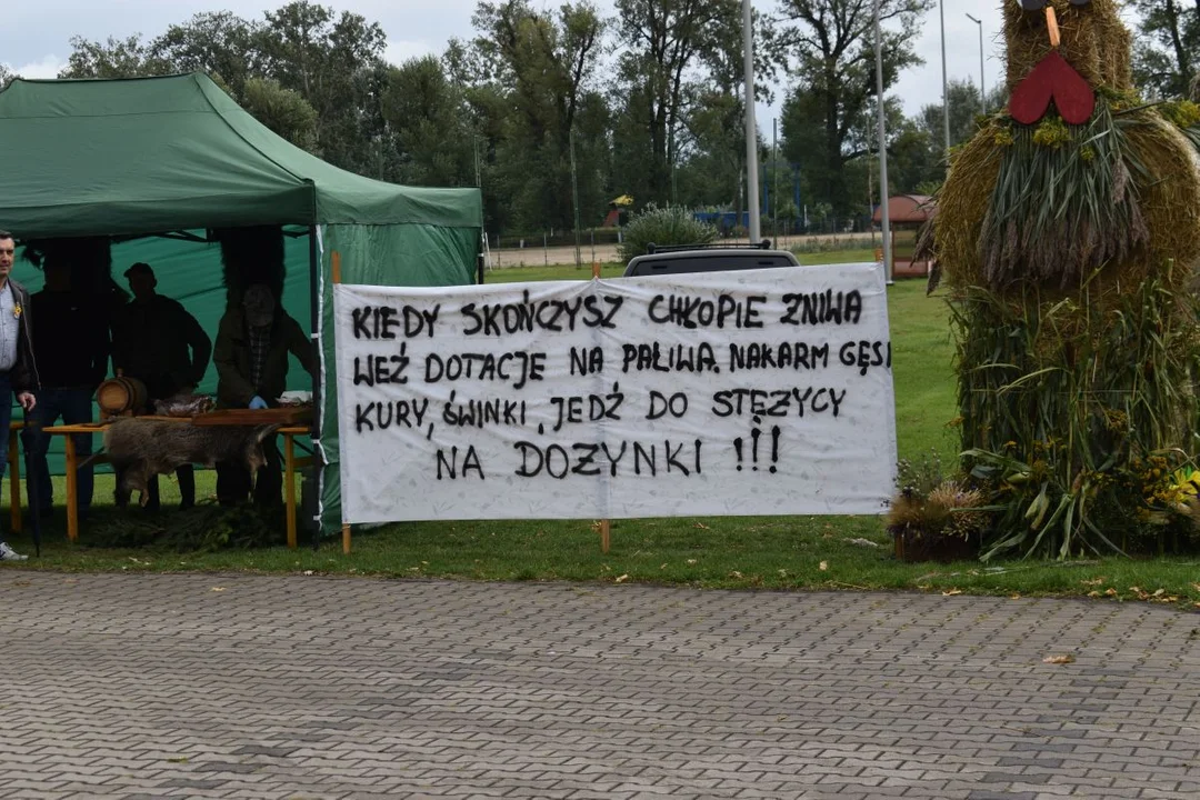 Korowód dożynkowy z Stężycy (zdjęcia) - Zdjęcie główne