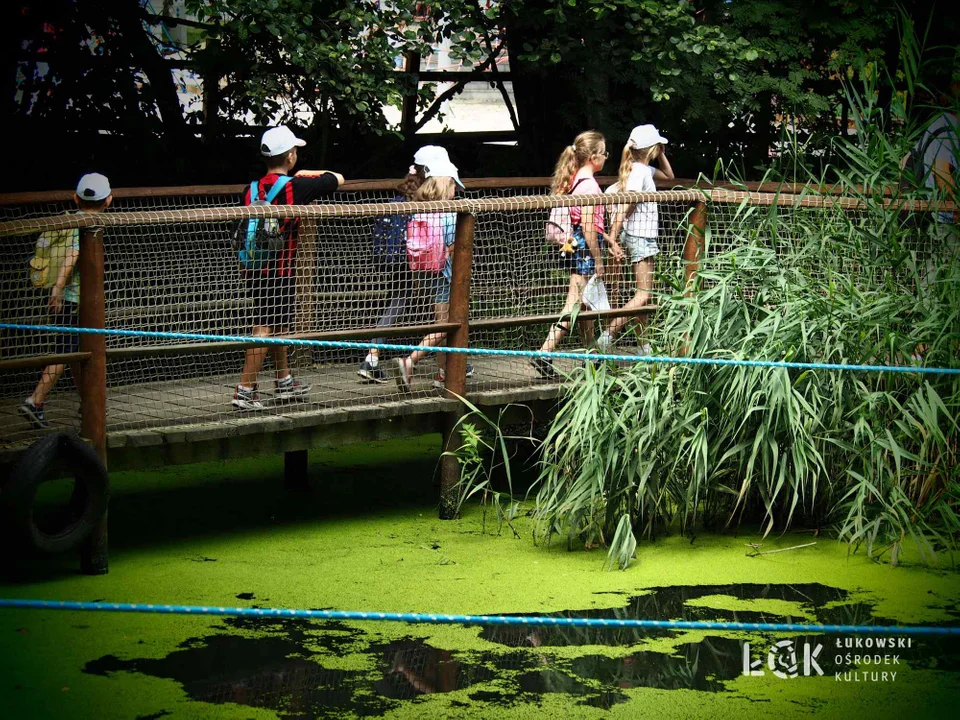 Wakacje z ŁOK. Farma iluzji i pokaz magii