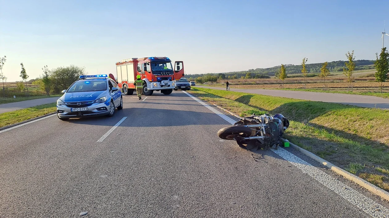 Województwo lubelskie: Łoś wbiegł na drogę. Motocyklista zginął na miejscu