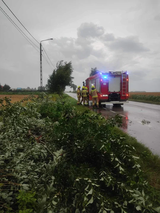 Interwencje strażaków z Krzywdy