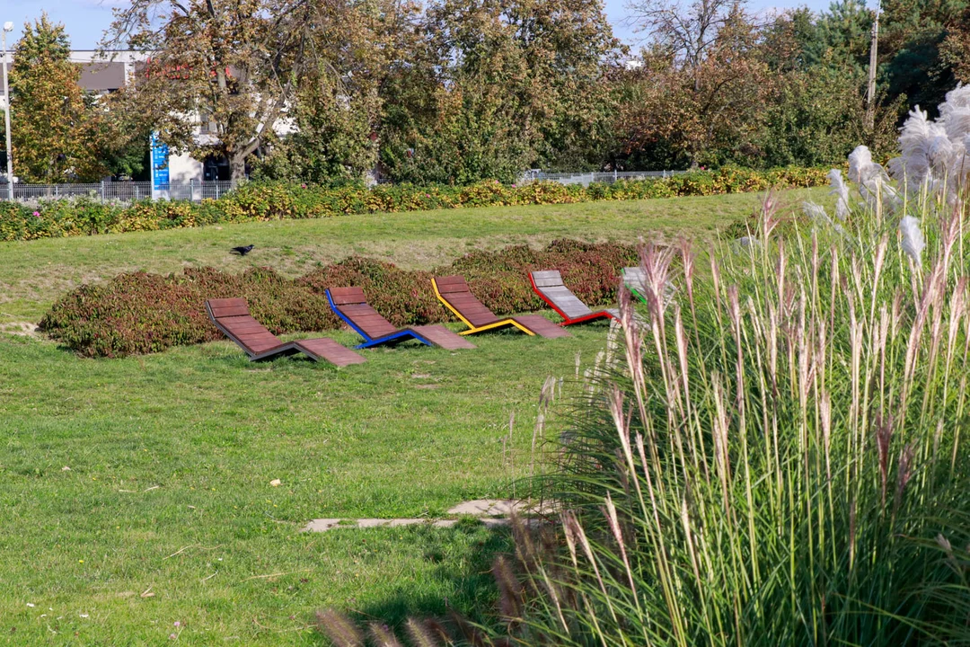 Jesień na Błoniach