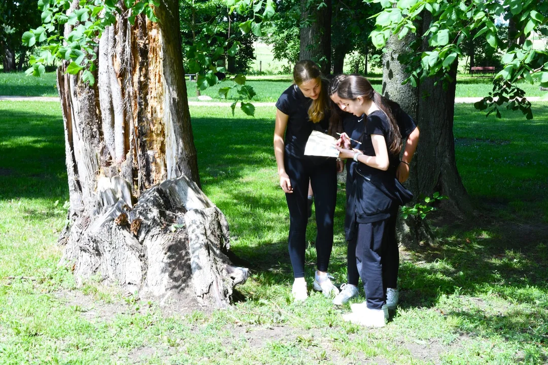 Questing na terenie Muzeum Henryka Sienkiewicza