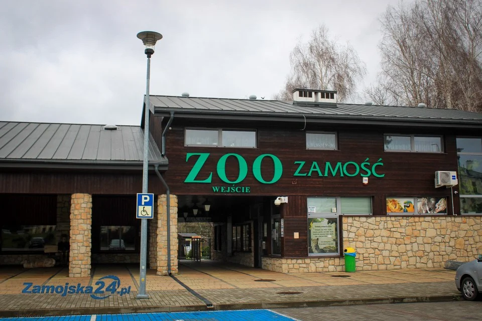 Absolutnie za darmo do ZOO w Zamościu - Zdjęcie główne