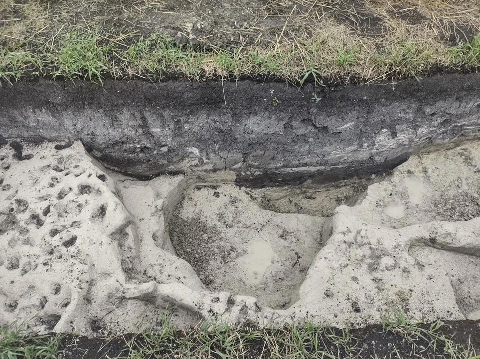 Kolejne odkrycia archeologów w Lubelskiem. Wykopaliska we wczesnośredniowiecznej osadzie