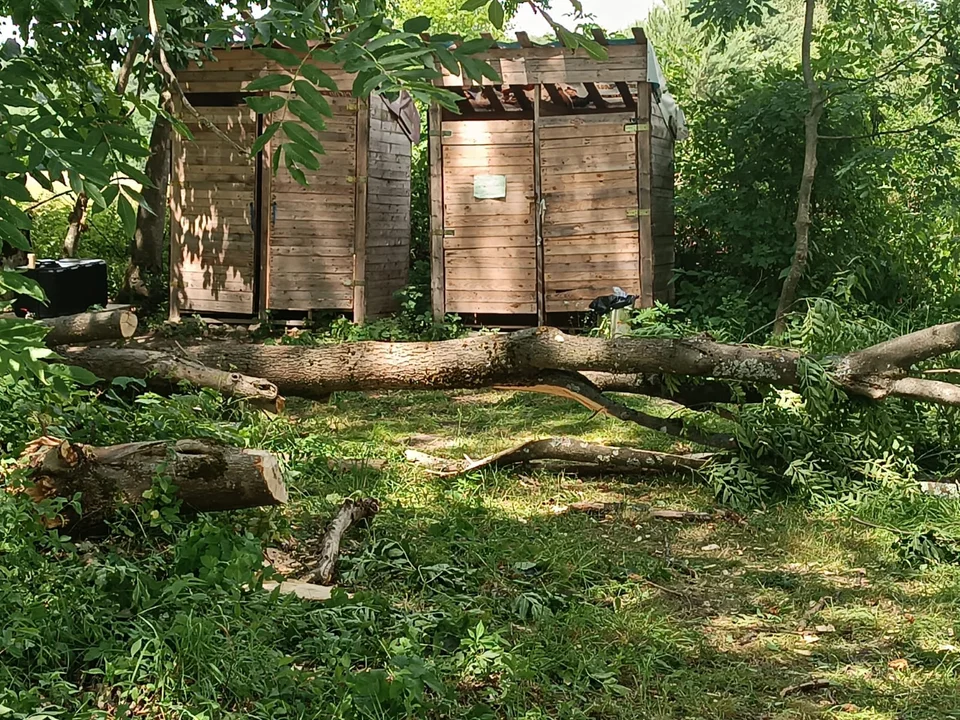 Burze nad Lubelszczyzną. Strażacy ewakuowali obozy harcerskie