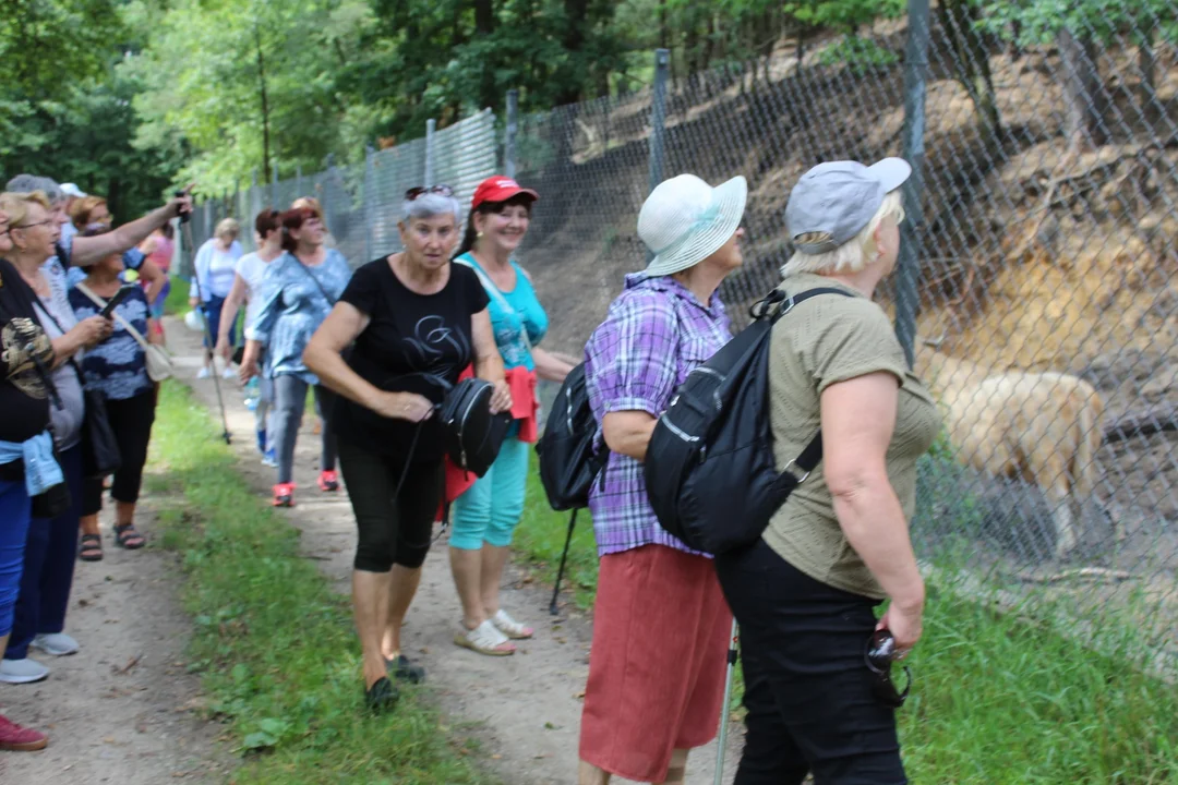 Odkrywając źródła rzeki Świder. Międzypokoleniowy spacer w Stoczku Łukowskim