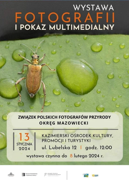 Kazimierz Dolny: Spotkanie miłośników fotografii