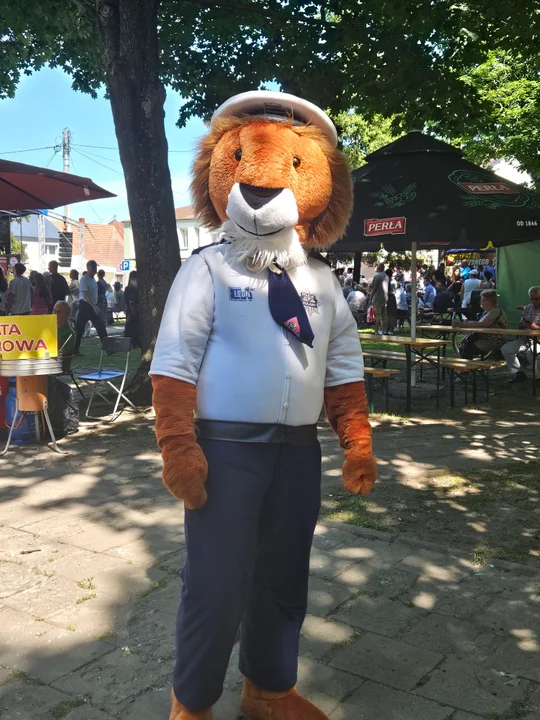 Dni Wąwolnicy - II Dzień (galeria)