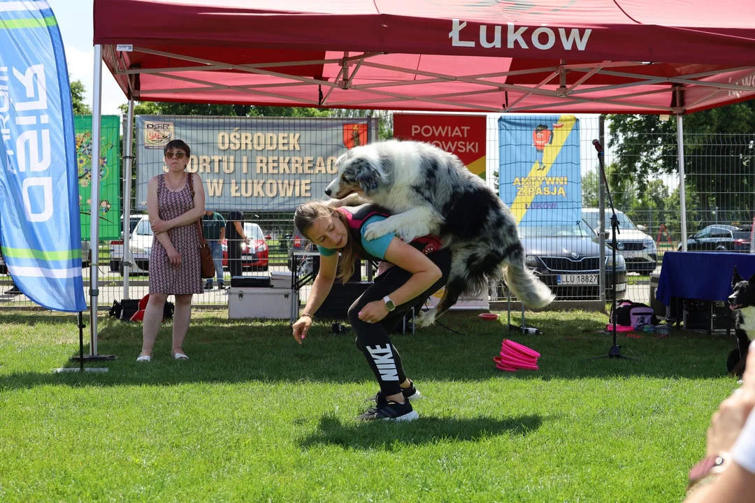 "Bądźmy Razem". Piknik dla osób niepełnosprawnych