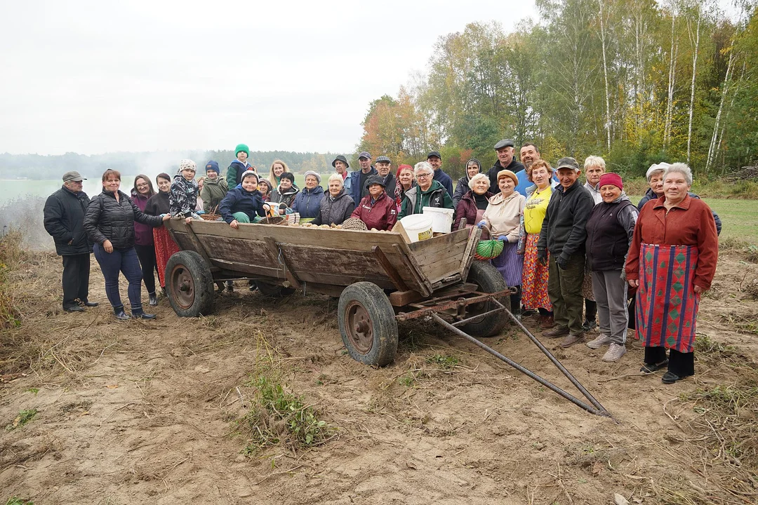 Tradycyjne wykopki w Retro Zagrodzie w Gminie Radzyń Podlaski