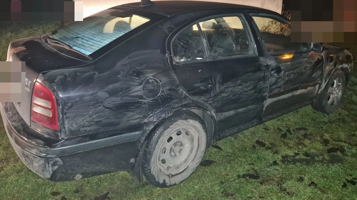 Lubelskie: Bez kasku, świateł i na "podwójnym gazie". 3 kierowców złapanych