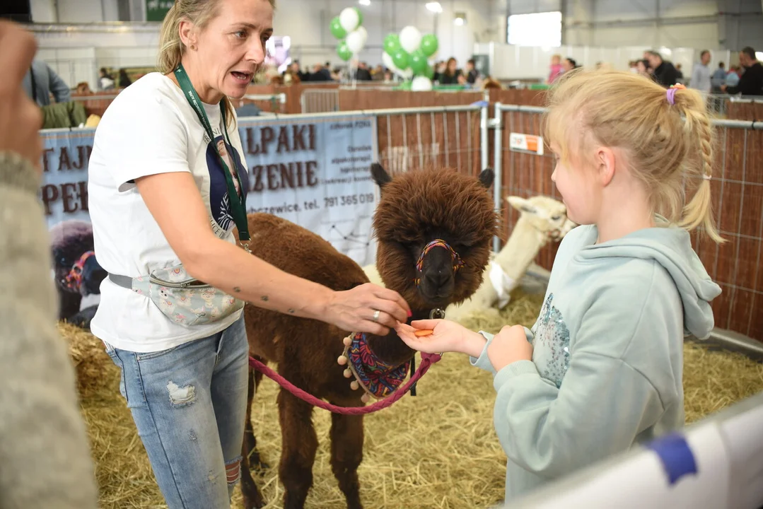 ZOO Park w Lublinie. Setki zwierząt w halach Targów Lublin [ZDJĘCIA CZ.2] - Zdjęcie główne
