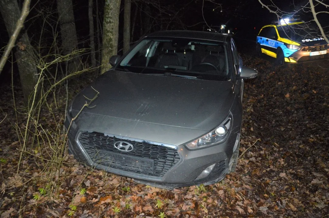 Lubelskie: Pijany wjechał autem do rowu. Policjantom proponował łapówkę - Zdjęcie główne