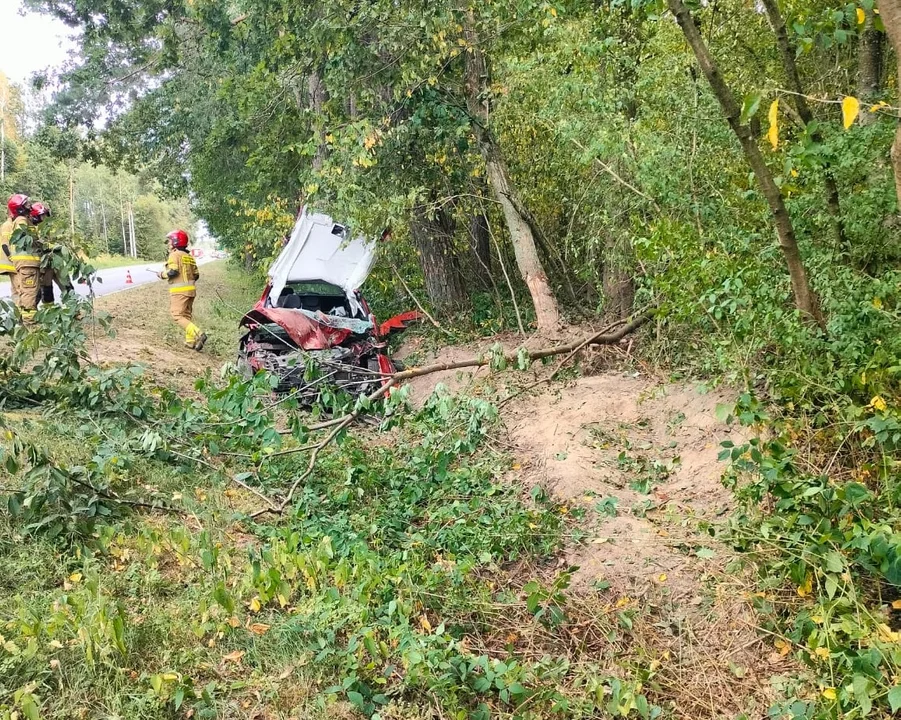 Powiat radzyński: Auto wjechało w drzewo. Kobieta i dziecko w szpitalu