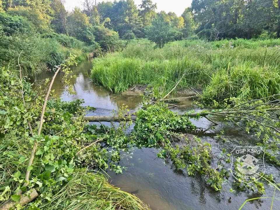 Zwierzyniec kajak
