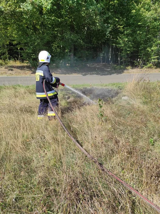 Gmina Adamów. Pożar nieużytków w Kalinowym Dole. Szybka akcja strażaków - Zdjęcie główne