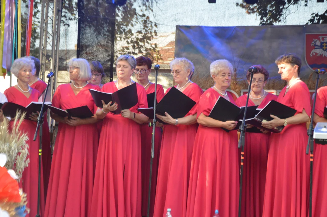 Dożynki Powiatowe w Wąwolnicy