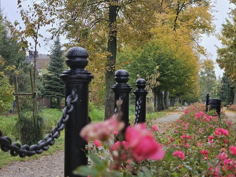 Łuków w obiektywie uczniów ZS nr 2 w Łukowie
