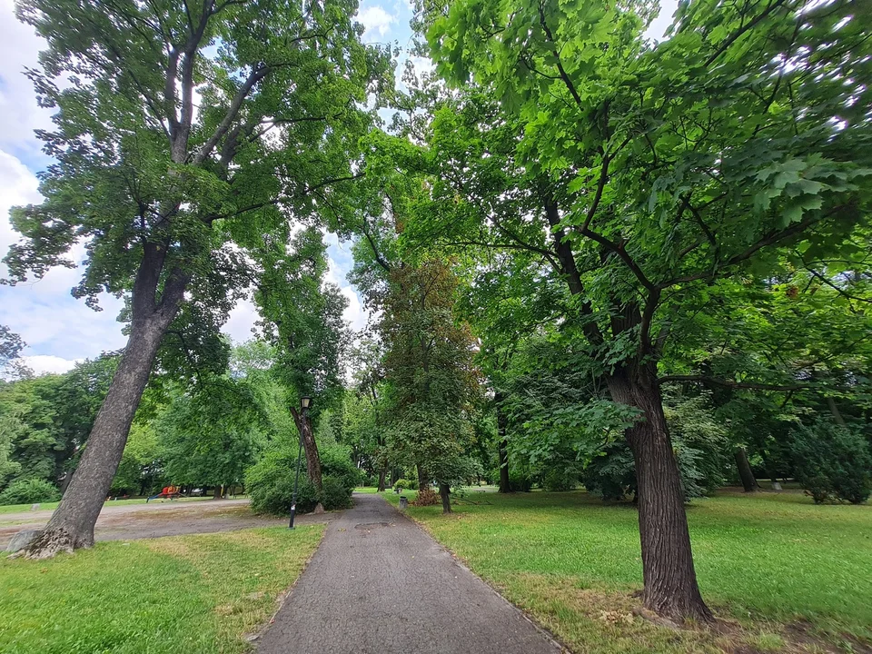 Lublin: Zabytkowy park doczeka się pełnej odnowy. Miasto ogłosiło przetarg