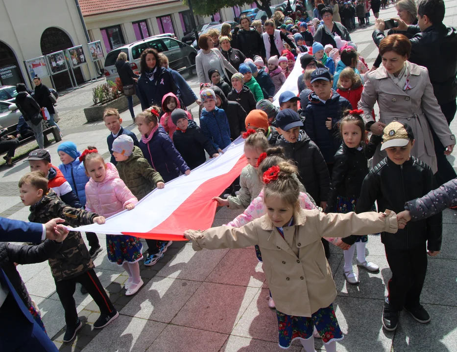 Święto Flagi w Lubartowie (zdjęcia) - Zdjęcie główne