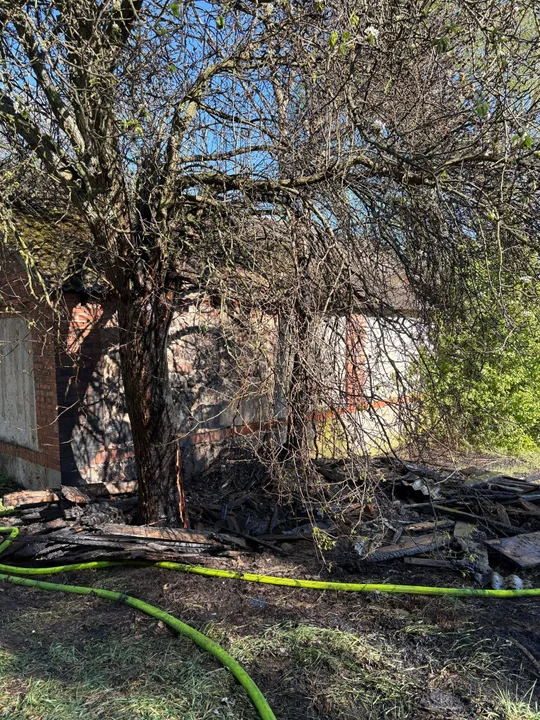 Poranny pożar w Łucznicy. Ogień zajął łąki i budynek
