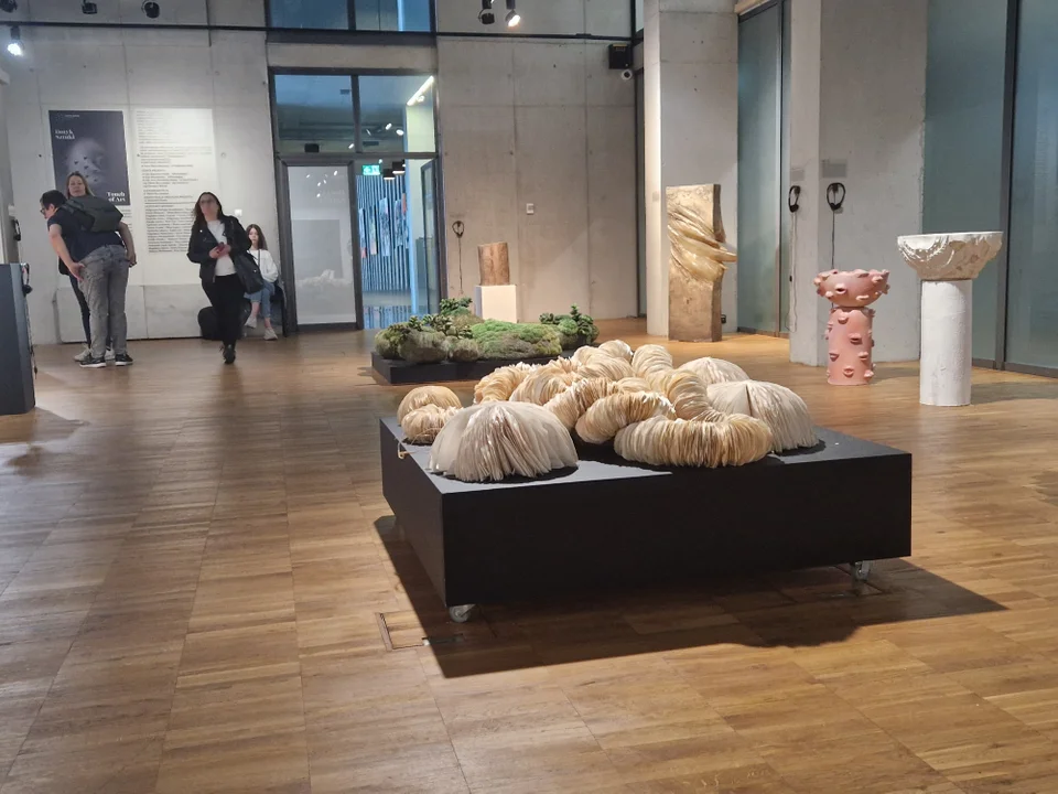 Noc Kultury w Lublinie. Cześć 1