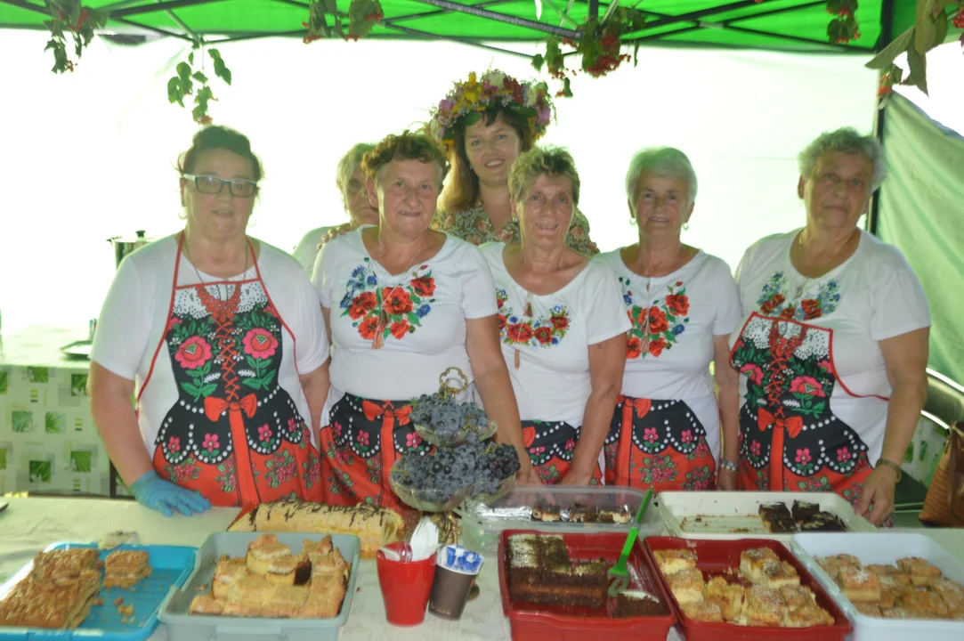 Dożynki Powiatowe w Wąwolnicy