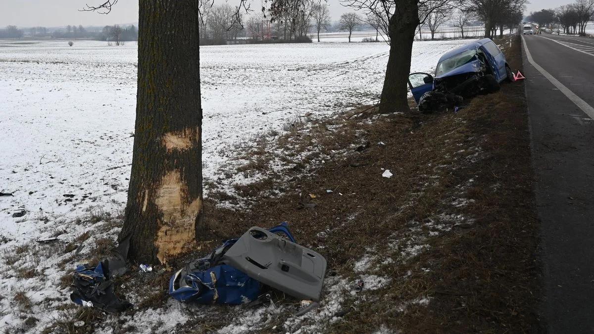 Lubelskie: Samochód uderzył w drzewo. 46-latek i dziecko w szpitalu