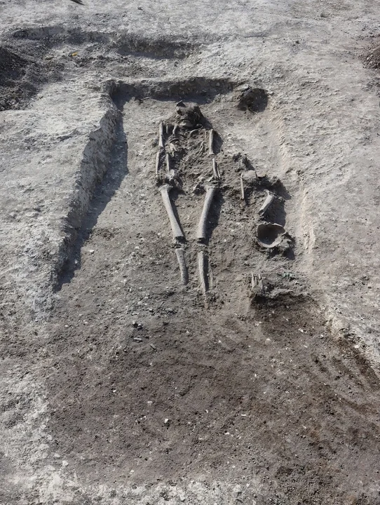 Niezwykłe odkrycie archeologów na Lubelszczyźnie. Odkryli pochówki w miejscu dawnego targu