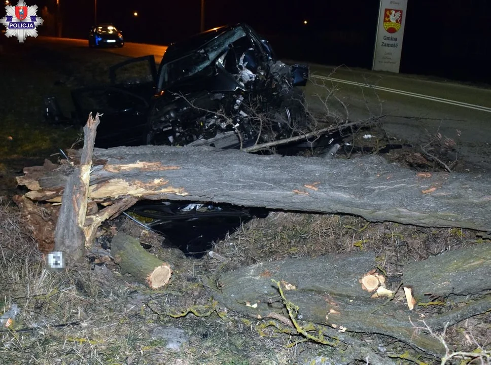 Tyle zostało z Citroena. Mieszkaniec wbił się w drzewo! - Zdjęcie główne