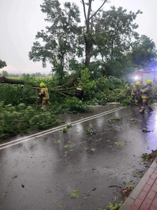 Interwencje strażaków z Krzywdy