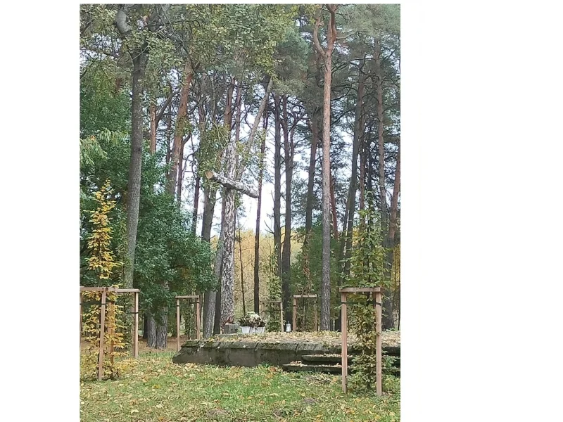 Łuków w obiektywie uczniów ZS nr 2 w Łukowie