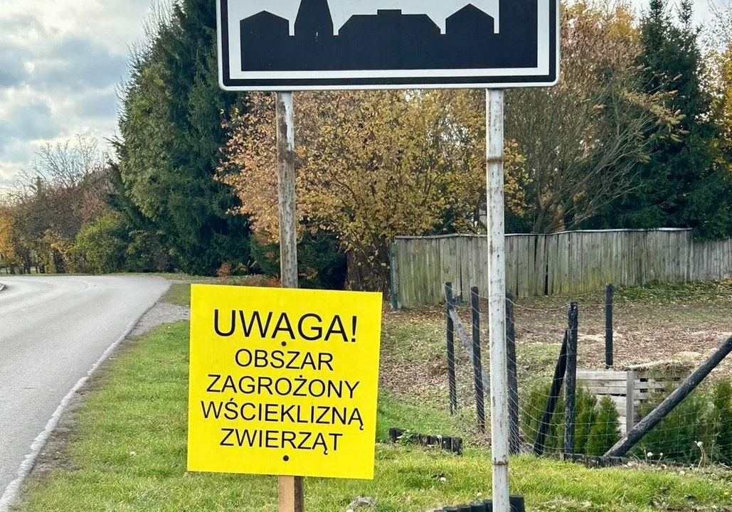 Nowe ognisko wścieklizny w powiecie zamojskim - Zdjęcie główne