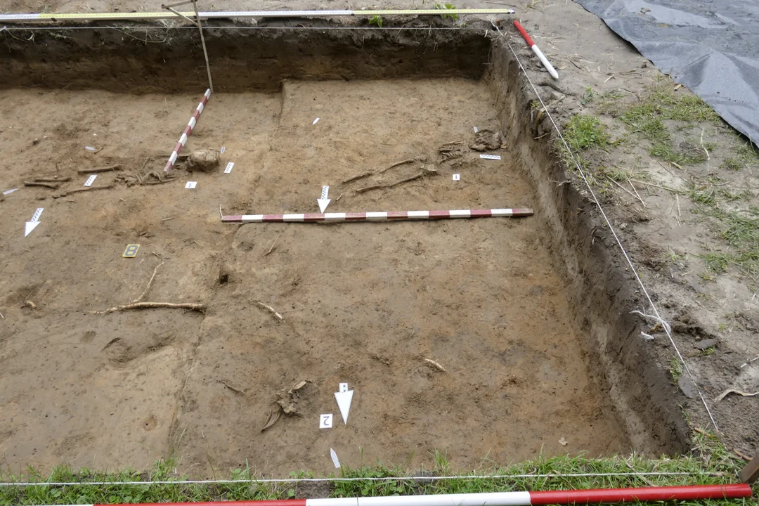 Lublin: Niezwykłe odkrycie w Ogrodzie Botanicznym UMCS. Znaleziono pozostałości cmentarzyska i fragment budowli