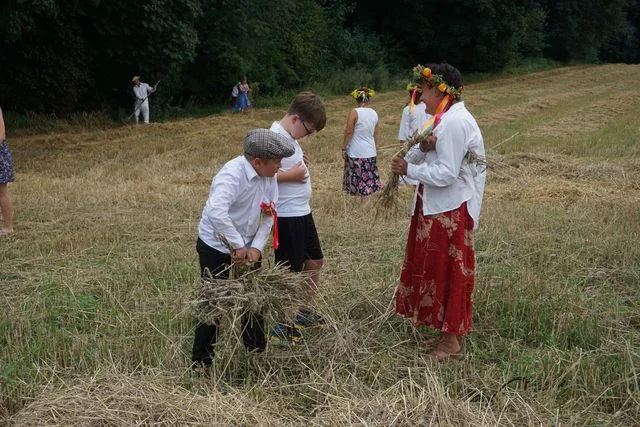Żniwa w Bronicach