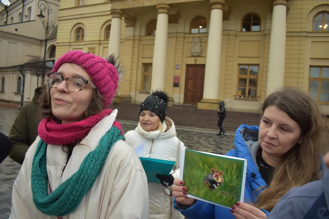 Lublin: Obrona górek czechowskich. Aktywistów wesprze posłanka Klaudia Jachira - Zdjęcie główne