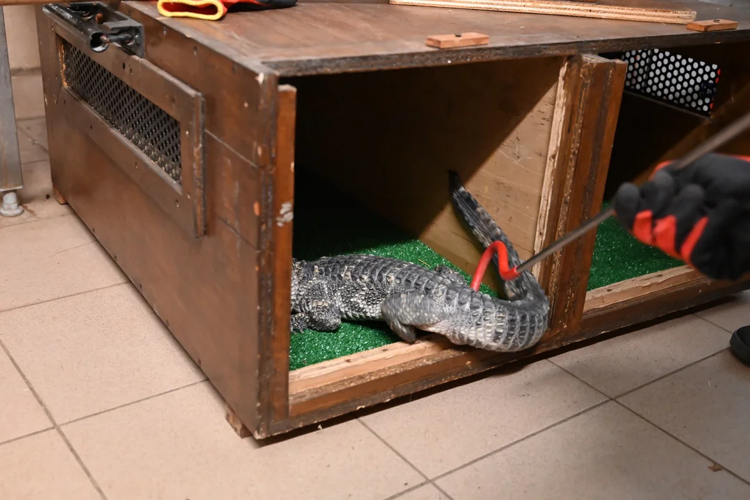 ZOO Zamość