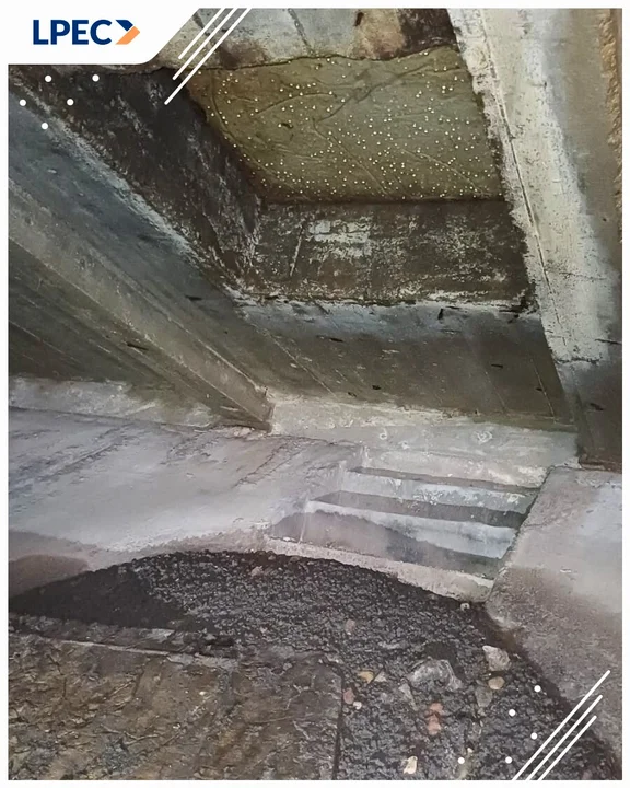 "A to odkrycie!" w centrum Lublina. Natrafili na nie pracownicy LPEC