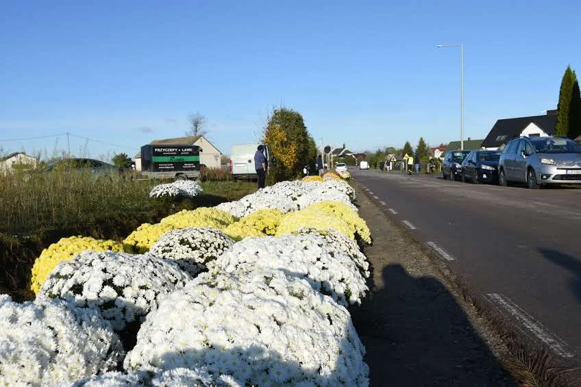 Dzień Wszystkich Świętych na cmentarzu w Okrzei