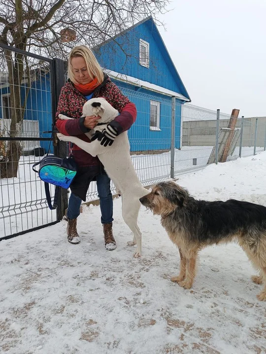 Arcyprzyjemny poranek w schronisku dla psów "Zwierzaki do Wzięcia" [ZDJĘCIA] Karma, ubranka i przysmaki trafiły do czworonogów - Zdjęcie główne