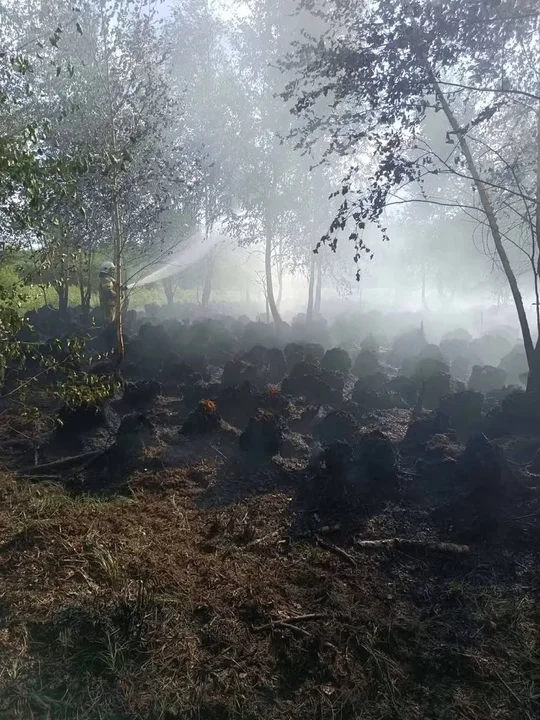 Groźny pożar w powiecie parczewskim. Pół hektara lasu i wieża widokowa płomieniach