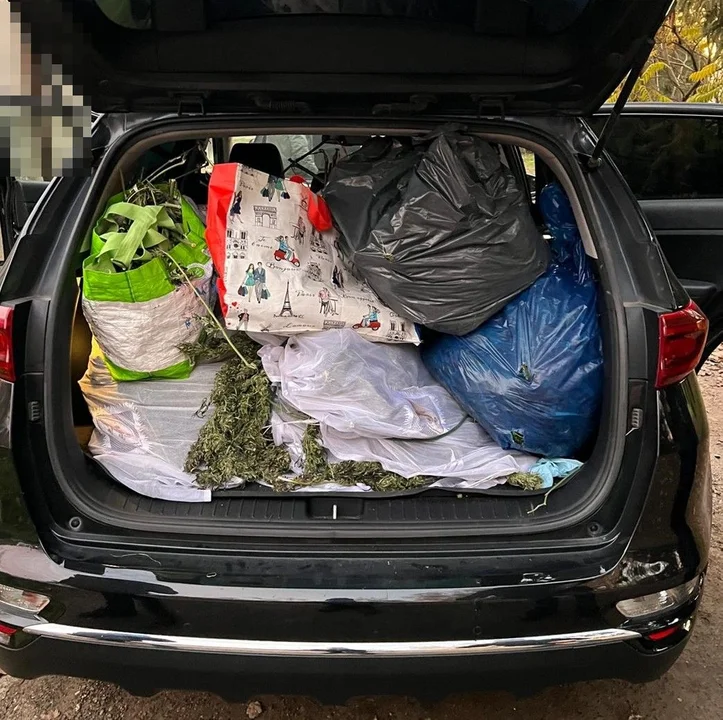 Powiat bialski: Odpowie za uprawę i wytworzenie narkotyków. Policja znalazła ponad 6 kg!