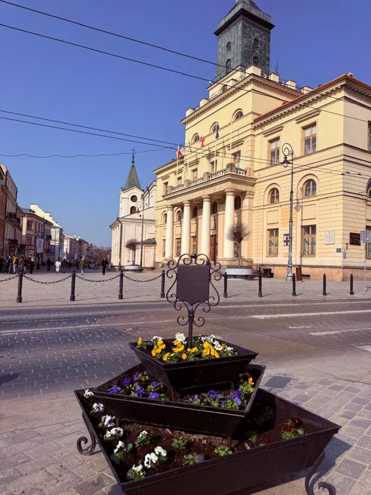 Lublin: Wiosna melduje się w centrum miasta. Zasadzą tysiące kolorowych kwiatów