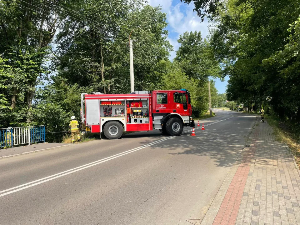 Złamane drzewo   nad rzeką Świder w Stoczku Łukowskim