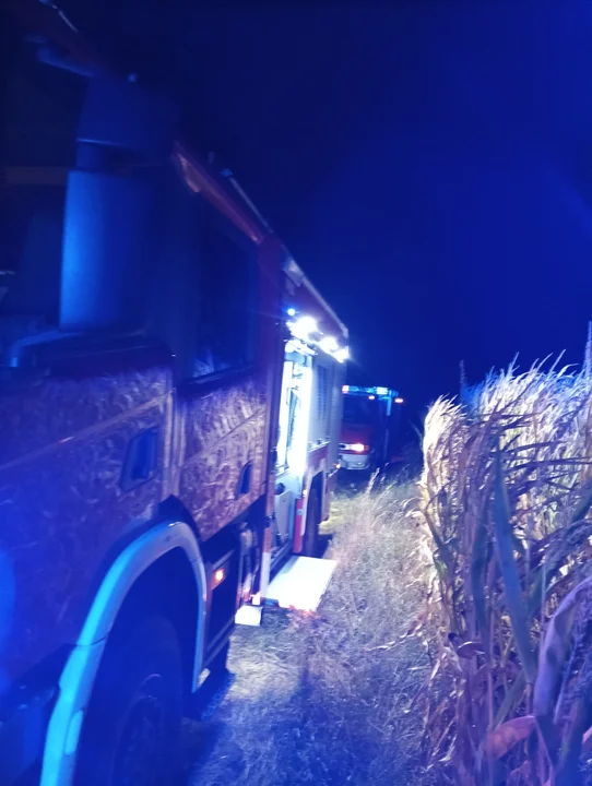 Powiat łukowski: Pożar traw i zarośli. Strażacy w akcji