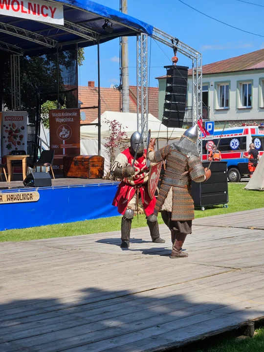 Dni Wąwolnicy – I Dzień (galeria)