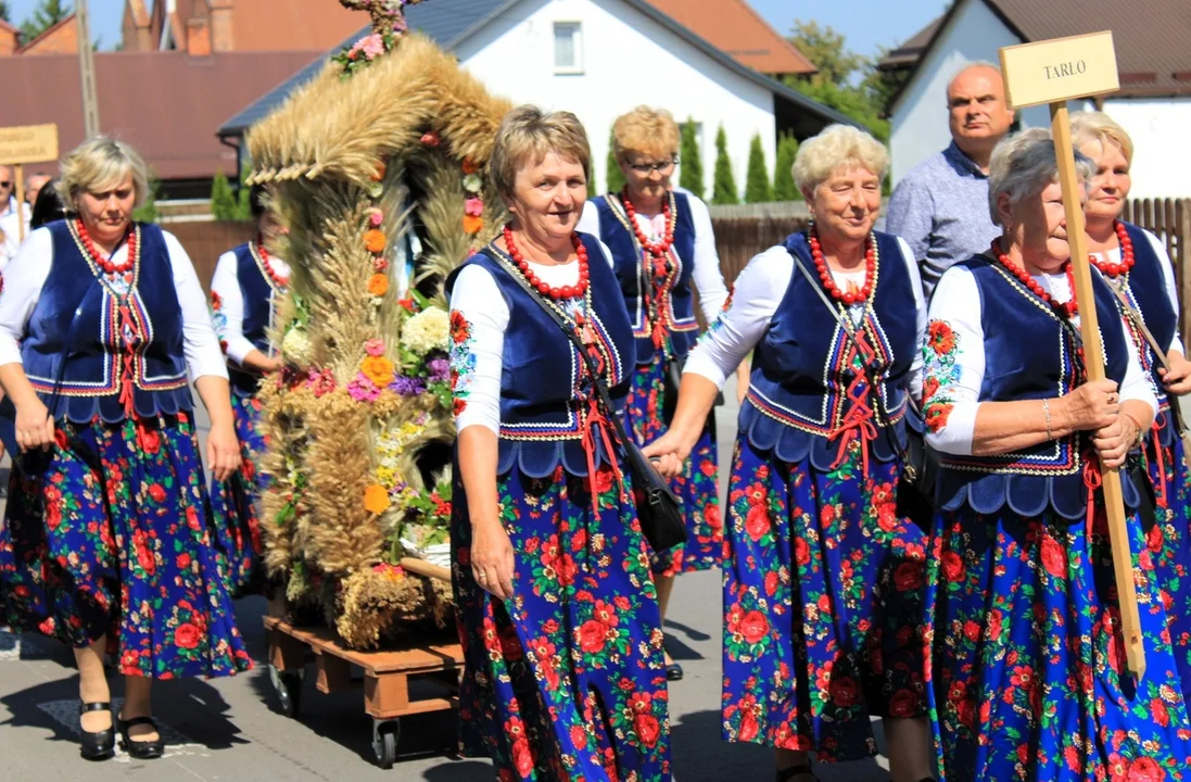 Dożynki w Niedźwiadzie: Przeżyjmy to jeszcze raz (ZDJĘCIA) - Zdjęcie główne